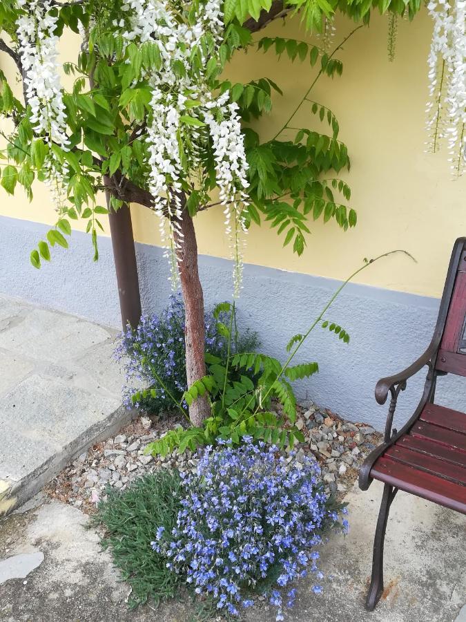 La Casa Dei Masue' Pensionat Alba  Exteriör bild