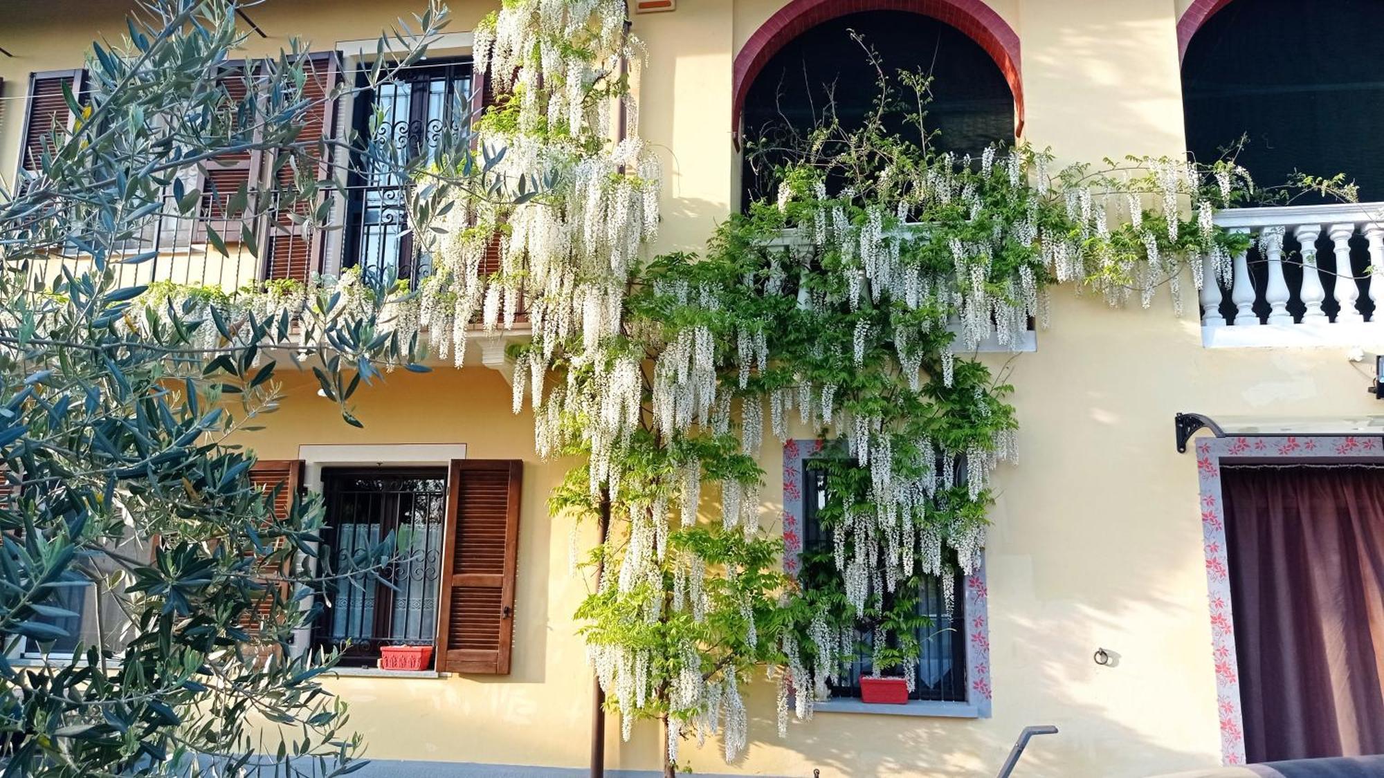La Casa Dei Masue' Pensionat Alba  Exteriör bild